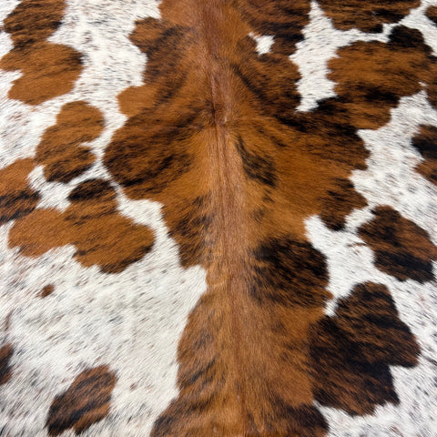 Tricolor Cowhide Rug Size: 7x6.5 feet D-577