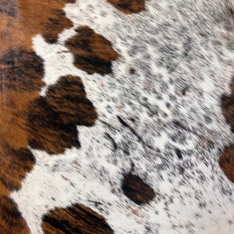 Tricolor Cowhide Rug Size: 7x6.5 feet D-577