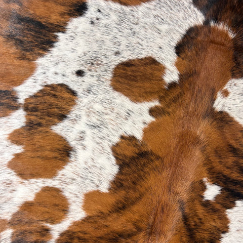 Tricolor Cowhide Rug Size: 7x6.5 feet D-577