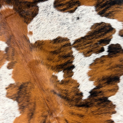 Tricolor Cowhide Rug Size: 7x6.5 feet D-577