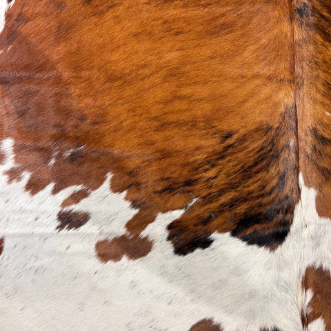 Tricolor Cowhide Rug Size: 7x6.7 feet D-578