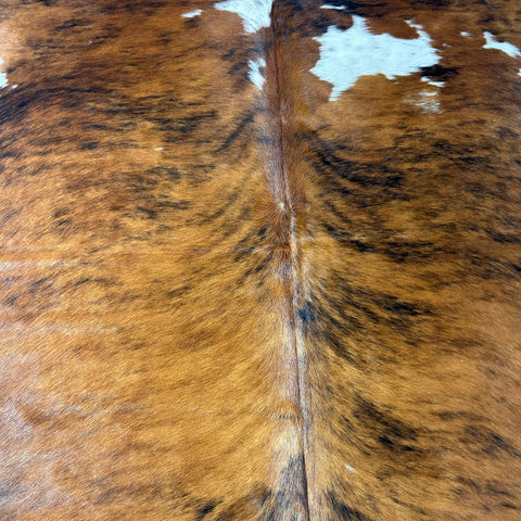 Tricolor Cowhide Rug Size: 7x6.7 feet D-578