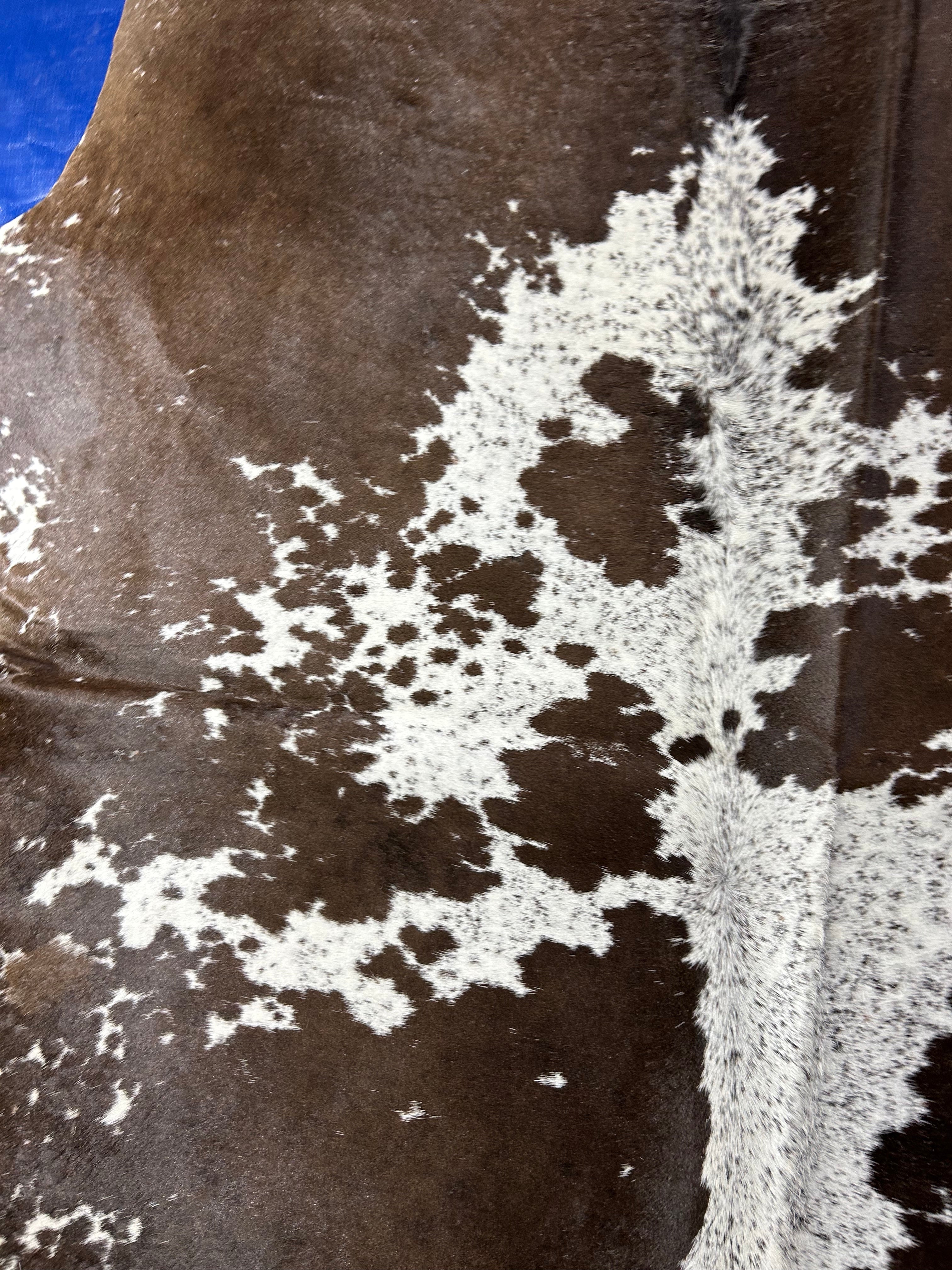 Brown & White Spotted Cowhide Rug Size: 8x6.2 feet D-050