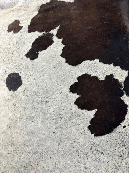 Spotted Chocolate & White Cowhide Rug Size: 8.7x7.2 feet D-052