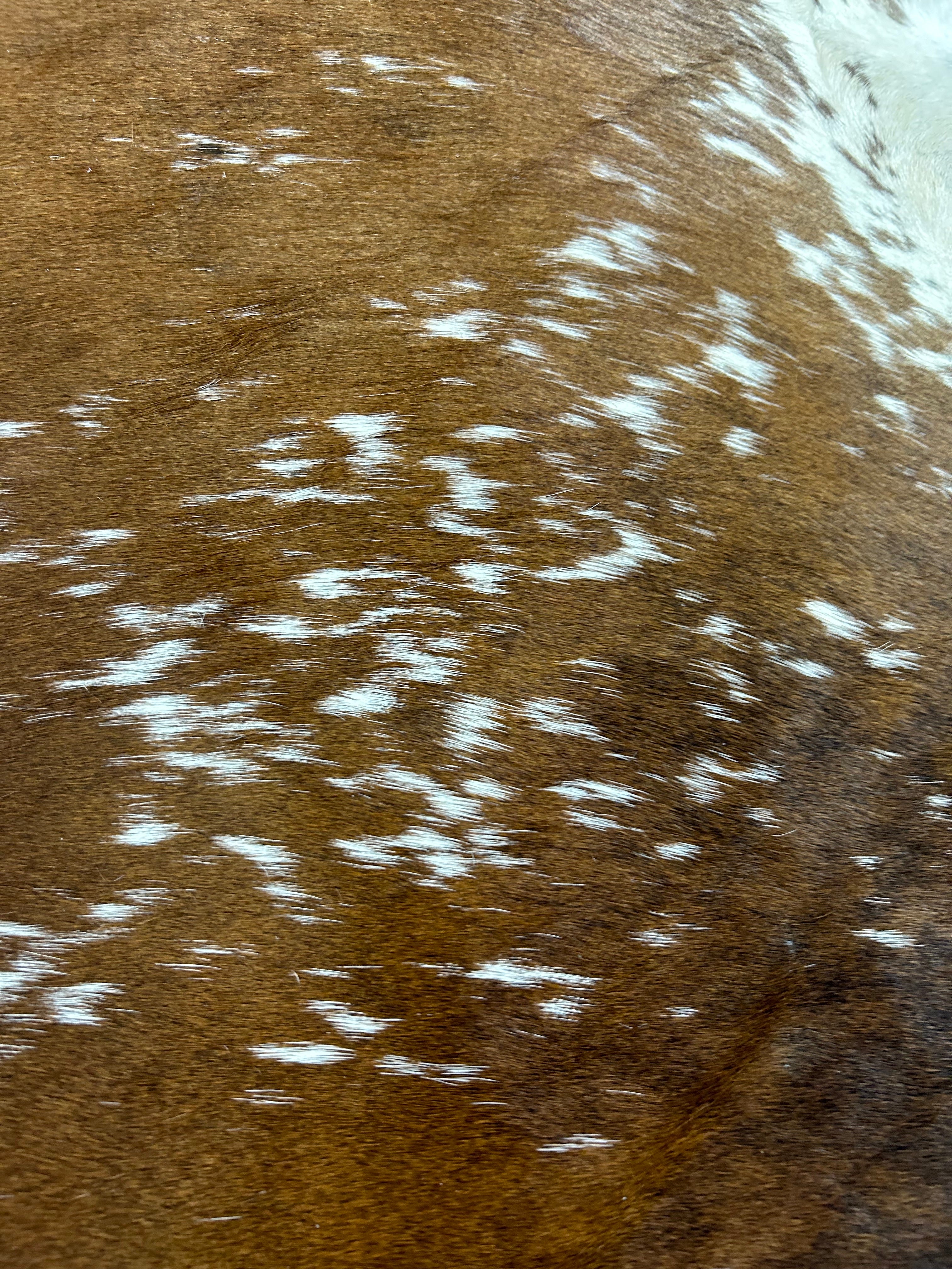 Brown & White Speckled Cowhide Rug (stitches) Size: 6x6 feet D-054