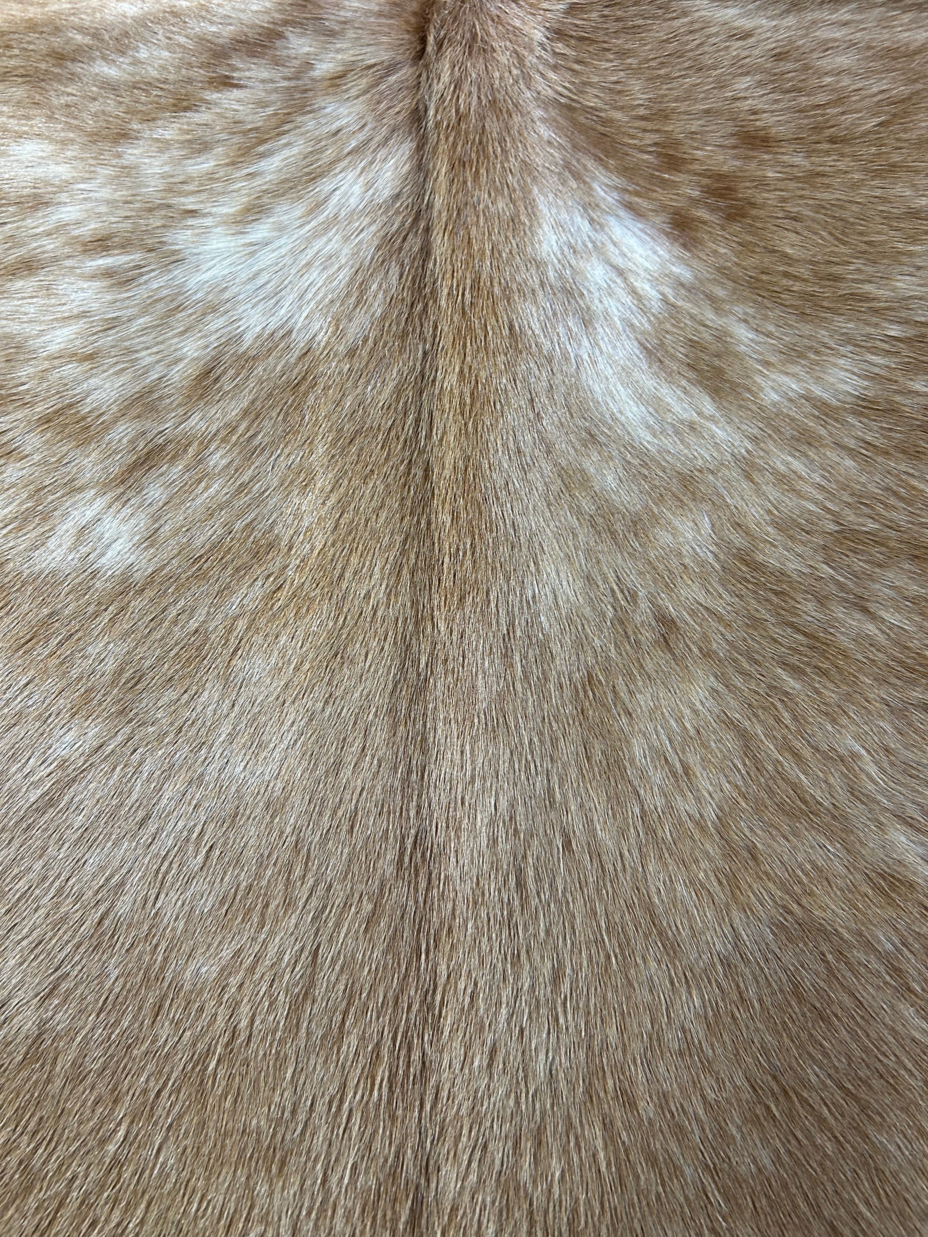 Beige & White Cowhide Rug (nice longish hair) Size: 6x6.2 feet C-1727