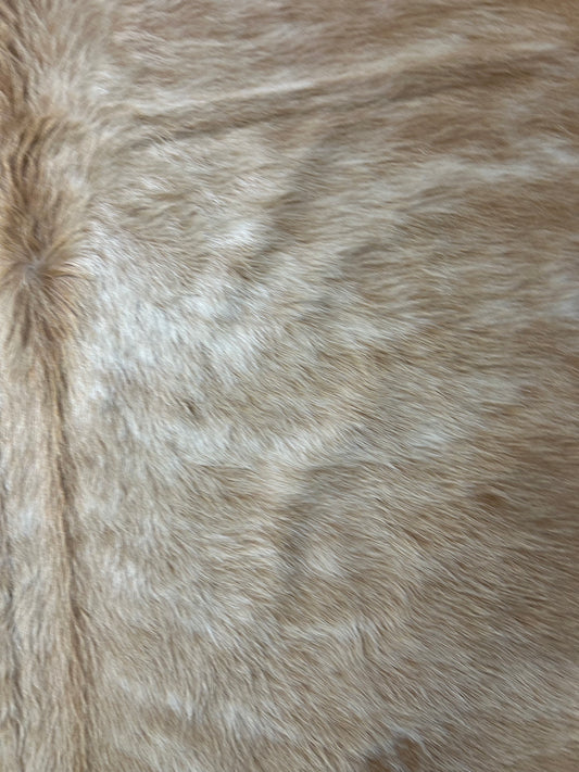 Gorgeous Beige Brindle Cowhide Rug (longish hair) Size: 6.5x6.2 feet C-1729a