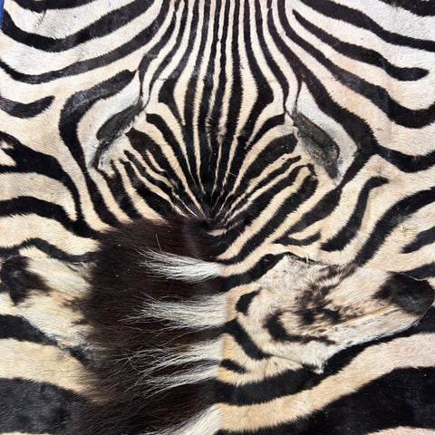 Real Zebra Face Leather - Size: 25x20"