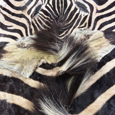 Real Zebra Face Leather - Size: 36x21"