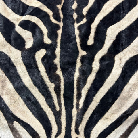 Half Zebra Skin # 84 Size: 60x29"