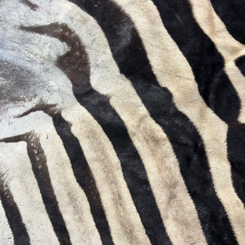 Half Zebra Skin # 84 Size: 60x29"