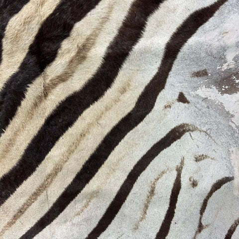 Half Zebra Skin # 85 Size: 54x30"