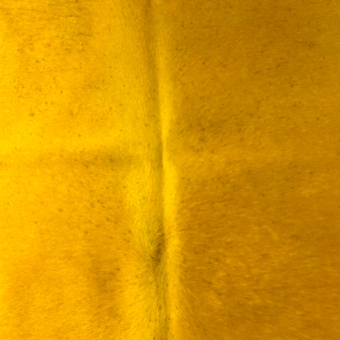 Dyed Yellow Cowhide Rug Size: 6x6.5 feet D-584