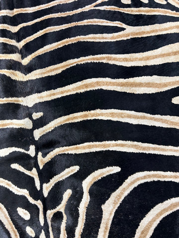 Dark Genuine Zebra Print Cowhide Rug Size: 7x5.5 feet D-069