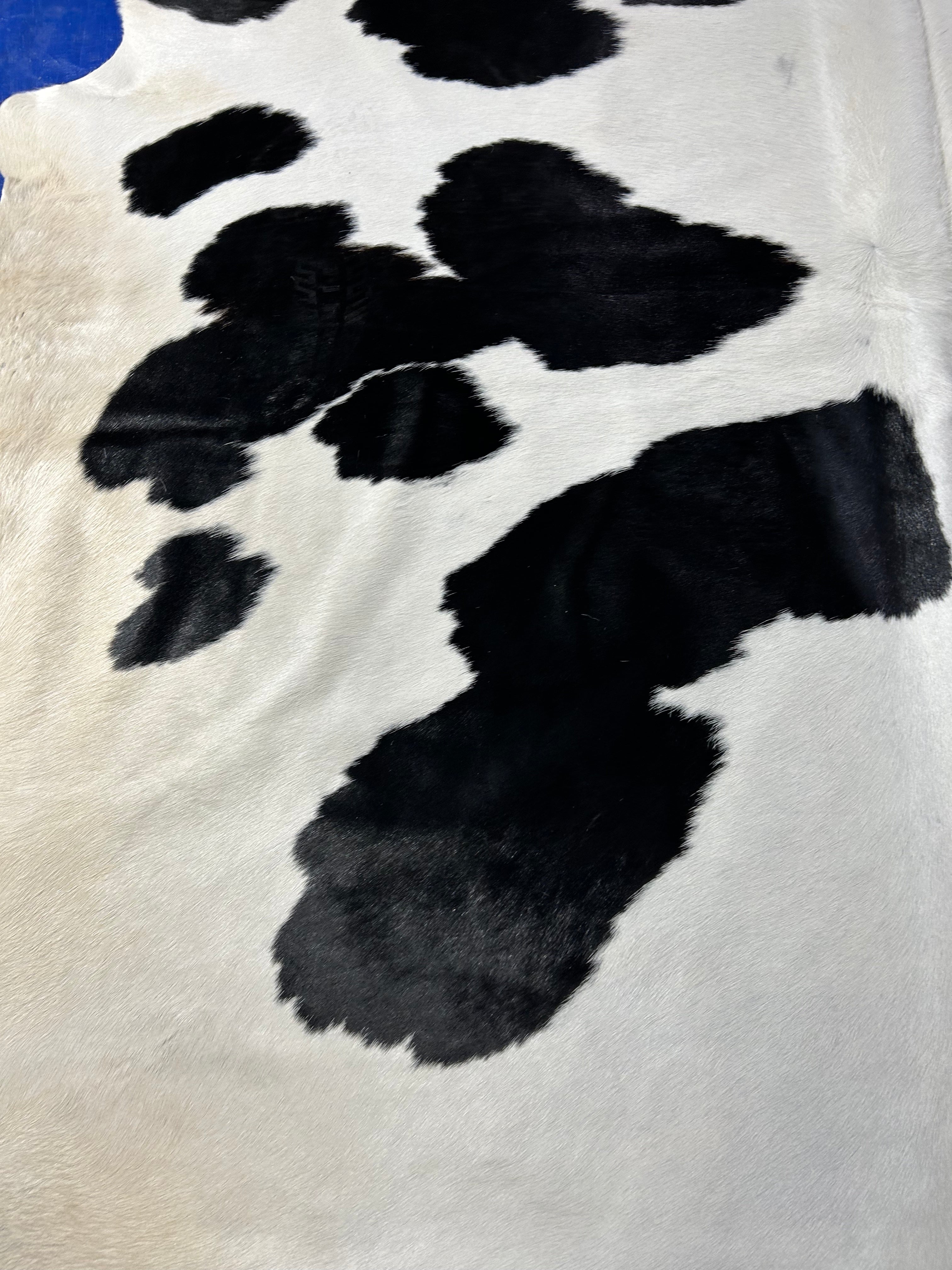 Huge Black & White Holstein Cowhide Rug Size: 8.7x7.5 feet D-070