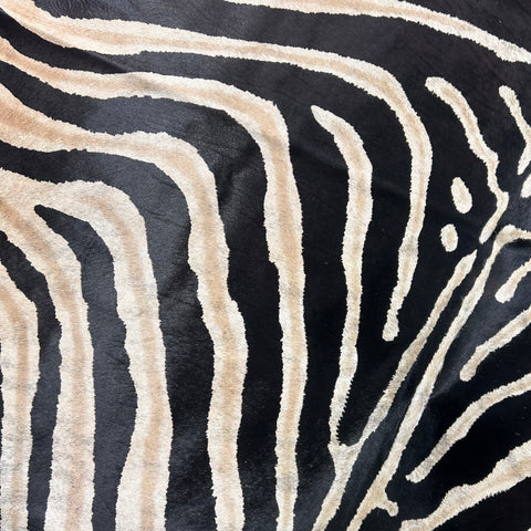 Genuine Zebra Cowhide Rug (background has a bit of light brindle) Size: 7x6 feet Z-351