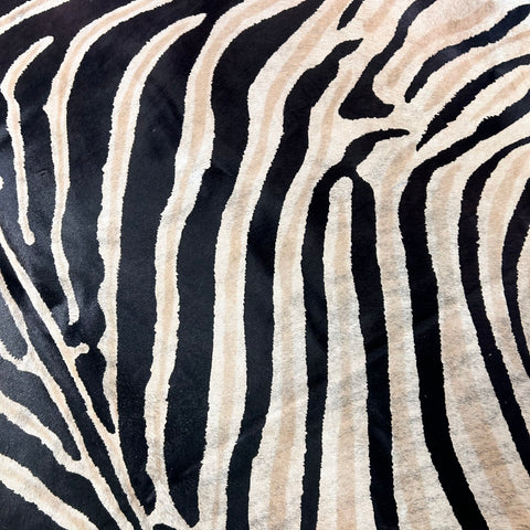 Genuine Zebra Cowhide Rug (background has a bit of light brindle) Size: 7x6 feet Z-351