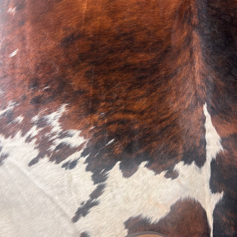 Huge Tricolor Cowhide Rug Size: 9x7 feet D-589 (giant size)