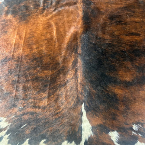 Huge Tricolor Cowhide Rug Size: 9x7 feet D-589 (giant size)