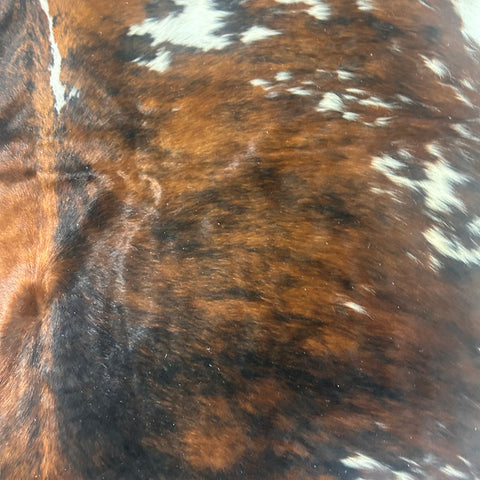 Huge Tricolor Cowhide Rug Size: 9x7 feet D-589 (giant size)