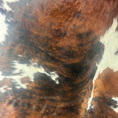 Huge Tricolor Cowhide Rug Size: 9x7 feet D-589 (giant size)