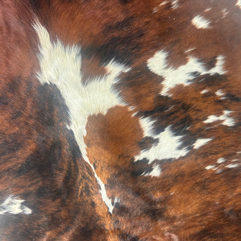 Huge Tricolor Cowhide Rug Size: 9x7 feet D-589 (giant size)