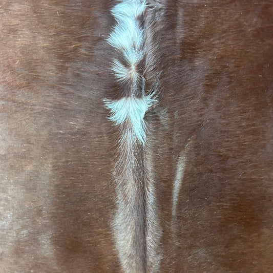 Hereford Cowhide Rug Size: 6x6 feet J-034