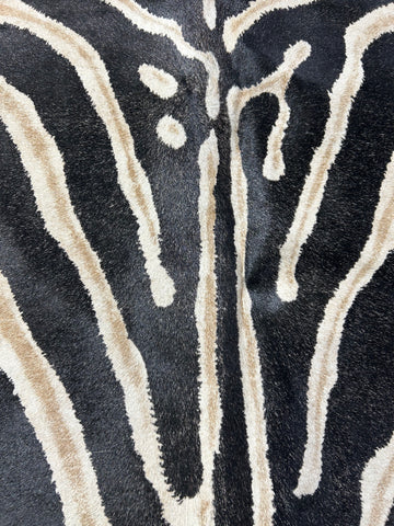 Genuine Zebra Print Cowhide Rug (stripes a bit faded and some scars) Size: 6.7x5.5 feet D-071