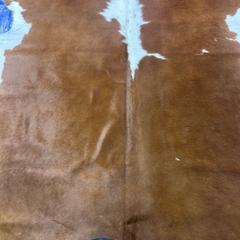Hereford Cowhide Rug Size: 7x6 feet J-035
