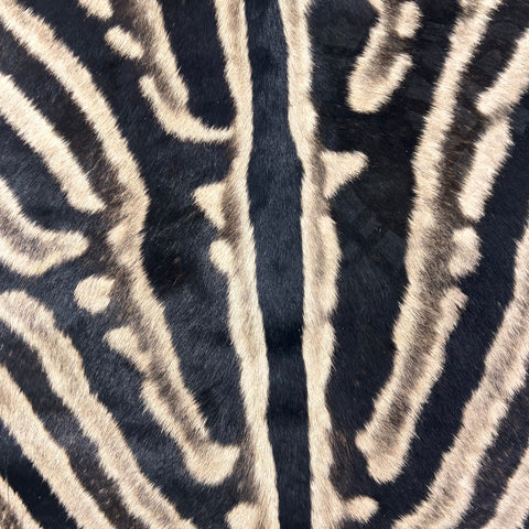 Real Zebra Skin Rug Hide # 26 Size: 8X 6.5 feet - FREE ZEBRA PILLOW CASE