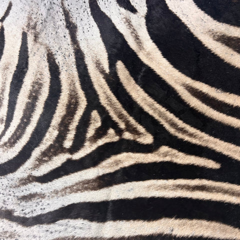 Real Zebra Skin Rug Hide # 26 Size: 8X 6.5 feet - FREE ZEBRA PILLOW CASE