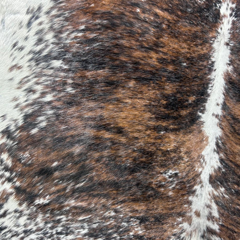 Gorgeous Brazilian Tricolor Cowhide Rug Size: 6.5x6 feet J-049