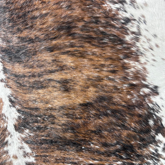 Gorgeous Brazilian Tricolor Cowhide Rug Size: 6.5x6 feet J-049