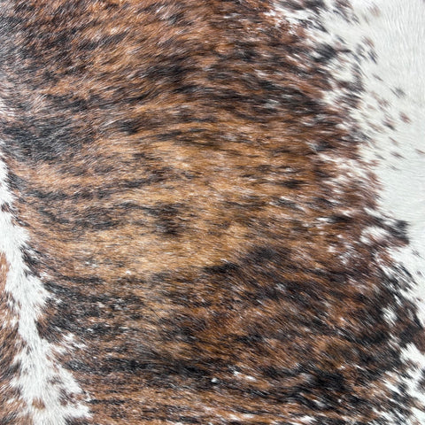 Gorgeous Brazilian Tricolor Cowhide Rug Size: 6.5x6 feet J-049