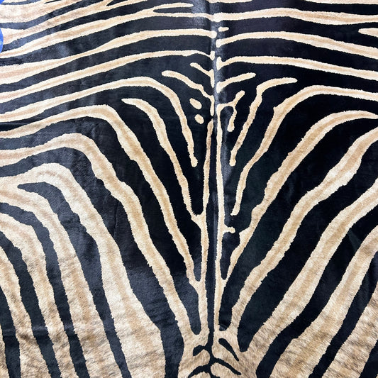 Genuine Zebra Cowhide Rug (background is a bit brindle) Size: 7x6 feet Z-356