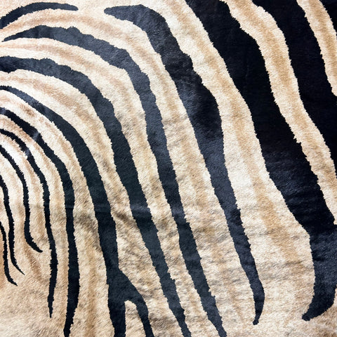Genuine Zebra Cowhide Rug (background is a bit brindle) Size: 7x6 feet Z-356