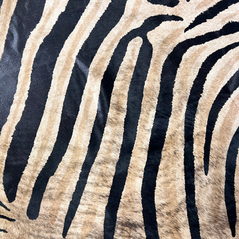 Genuine Zebra Cowhide Rug (background is a bit brindle) Size: 7x6 feet Z-356