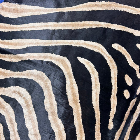 Genuine Zebra Cowhide Rug (background is a bit brindle) Size: 7x6 feet Z-356