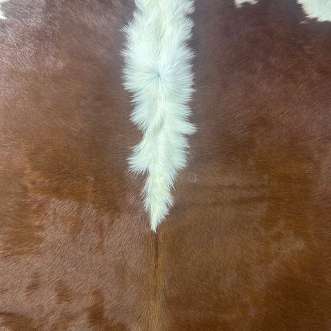 Hereford Cowhide Rug Size: 8x7.2 feet J-055