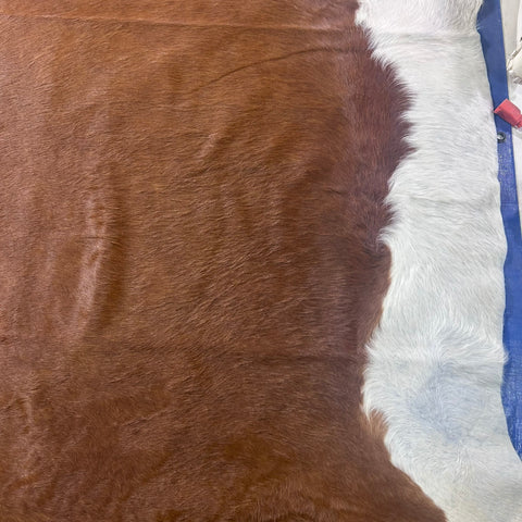 Hereford Cowhide Rug Size: 8x8 feet J-058