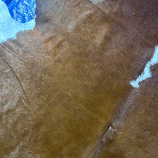 Hereford Cowhide Rug Size: 8x8 feet J-058