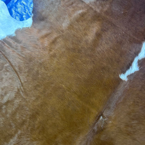 Hereford Cowhide Rug Size: 8x8 feet J-058