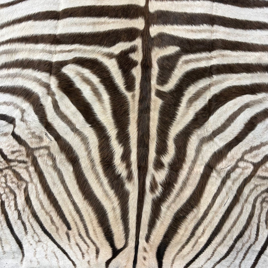 Real Zebra Skin # 86 (Tail is about 20") Size: 81x68"