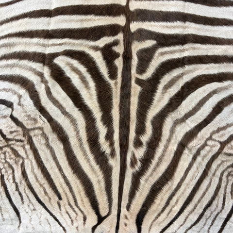 Real Zebra Skin # 86 (Tail is about 20") Size: 81x68"