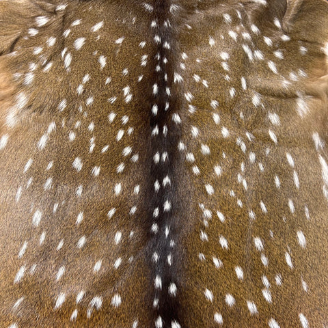 Axis Deer Skin Size: 46"x38" Axis-745