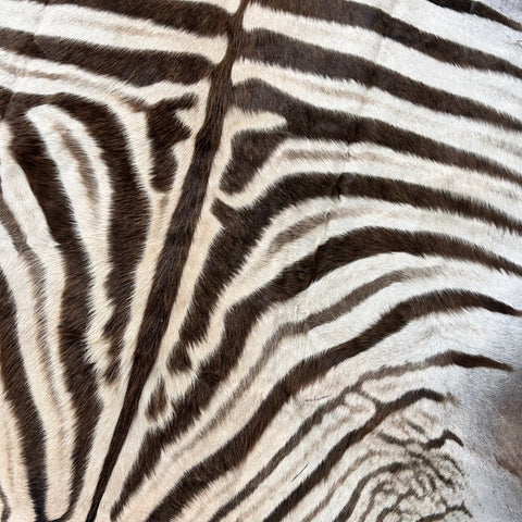 Real Zebra Skin # 86 (Tail is about 20") Size: 81x68"