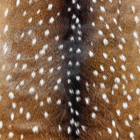 Axis Deer Skin Size: 45"x36" Axis-746