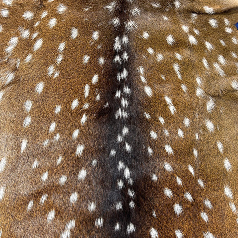 Axis Deer Skin Size: 45"x36" Axis-746