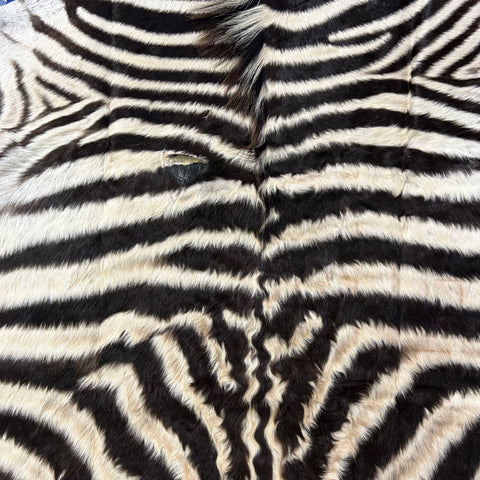 Real Zebra Skin # 87 (curly Hair/Tail is about 18"/Patch) Size: 80x58"