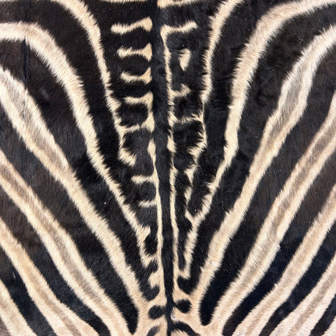 Tapis en peau de zèbre véritable # 29 Taille énorme : 7X6 pieds - TAIE D'OREILLER ZEBRA GRATUITE